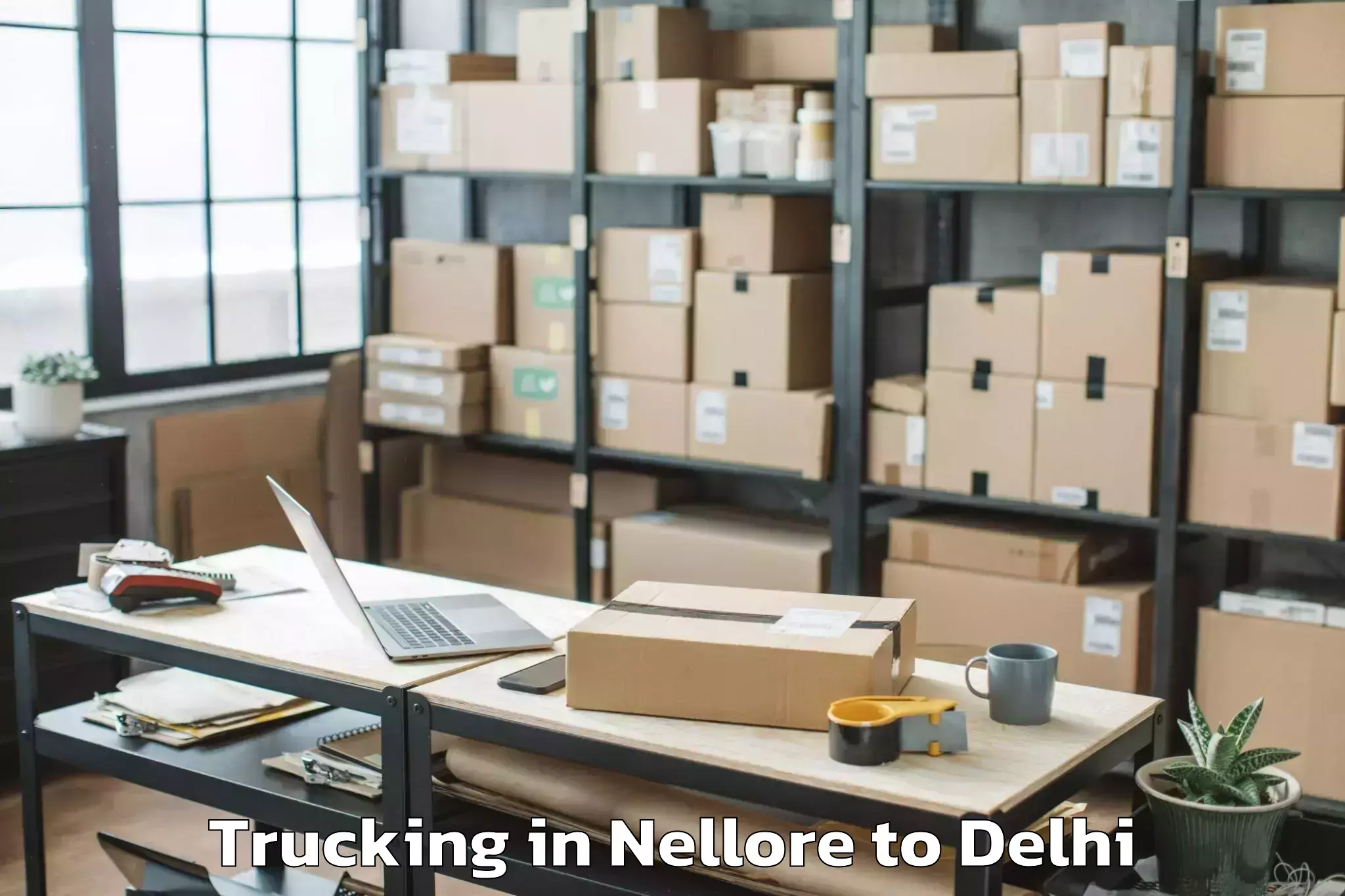 Quality Nellore to Ambience Mall Rohini Trucking